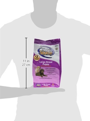 Large Breed Puppy Chicken & Rice Dry Dog Food Size: 1.5-Lb Bag