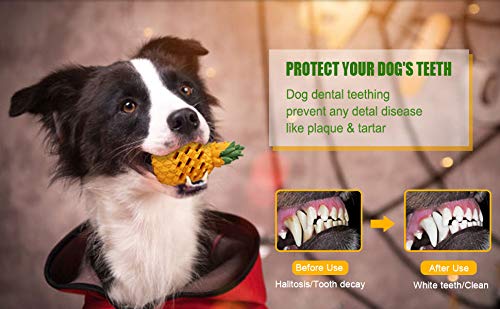 LPHSNR Teething Chew Toys for Puppy Small Dogs, Interactive Dog Toys to Keep Them Busy Puppies Tough Dog Dental Clean Toys