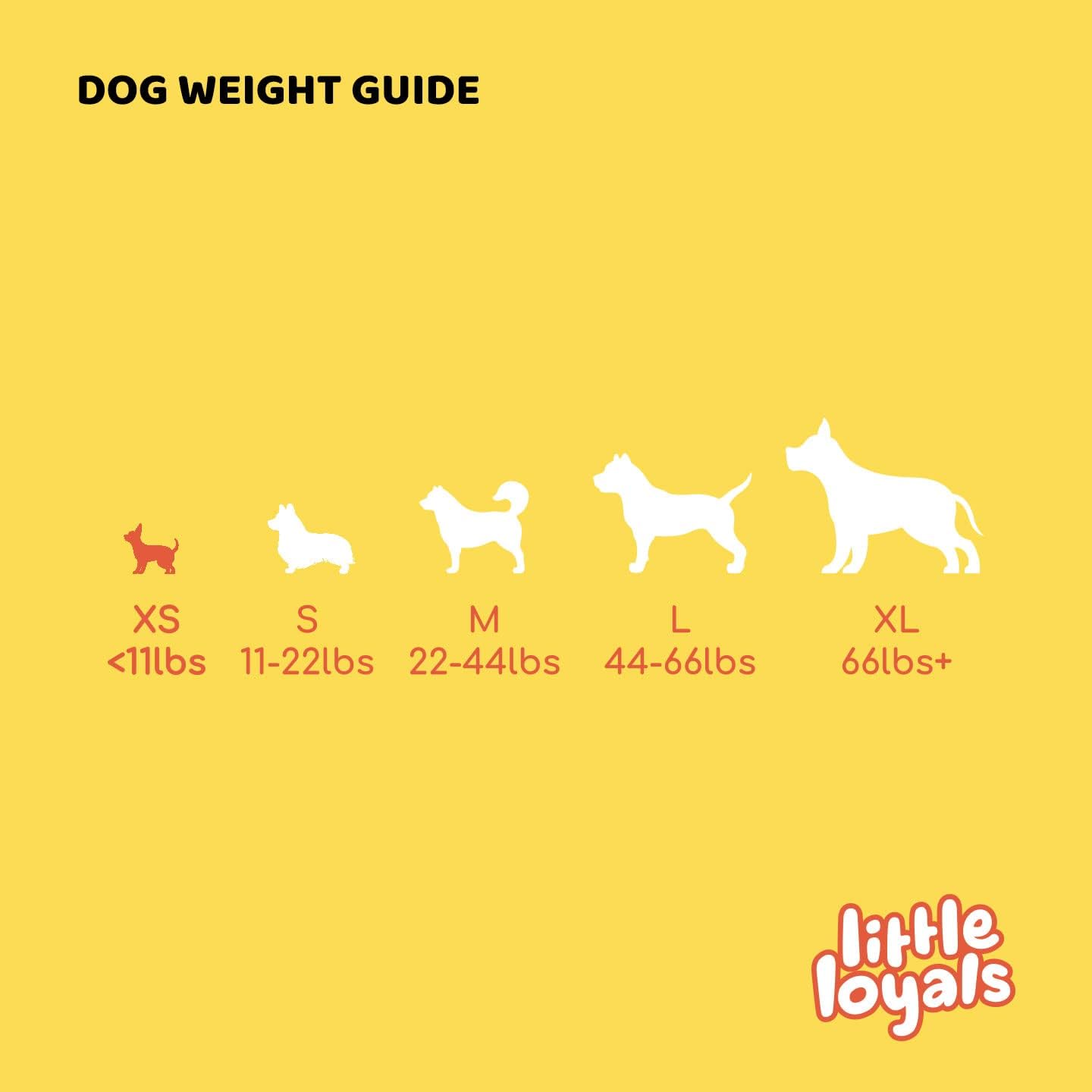 Little Loyals Cheese Bone Dog Chew x3 Small Bone 22g – Long lasting Soft Dog Treats for Small Dogs under 5kg – Suitable for Puppies, Adult & Senior Dogs – Based on Yak Cheese Himalayan Dog Chew Recipe