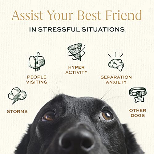 Breedwise Pet Provisions Dog Calming Treats, All Natural Holistic Dog Anxiety Relief Bites, Hickory Bacon Flavor, Stress Reducing, 210g (60 Chews, Hickory Bacon)