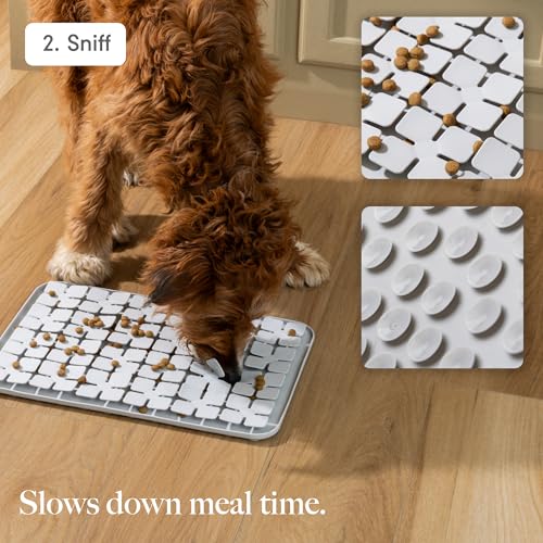 LAY LO Dog Enrichment Starter Pack: Treat Dispensing Toy, Slow Feeder Bowl & Lick Mat, and Snuffle Mat | Dishwasher Safe | Medical Grade Silicone | Non-Toxic | Includes Live Support from Dog Experts