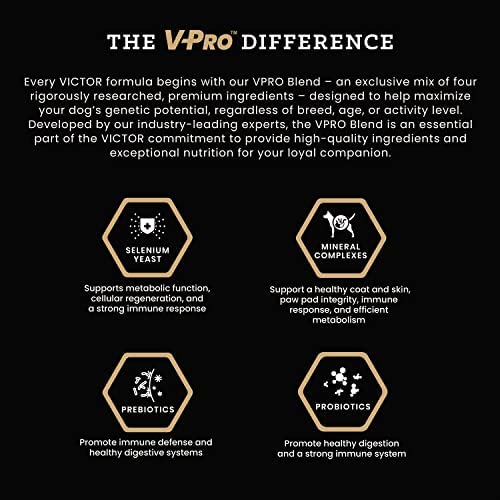 VICTOR Super Premium Dog Food – Elite Canine Dry Dog Food with Chicken & Fish Meal – 25% Protein, 14% Fat, Gluten Free – for Large Breed Dogs & Puppies, 40lbs