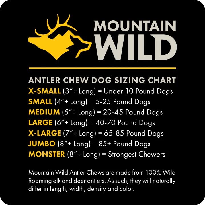 MOUNTAIN WILD Split Elk Antler Dog Chews for Aggressive Chewers – Naturally-Shed, Long-Lasting, Odorless, Mineral-Rich – No Fillers, No Preservatives – Supports Dental Health – Small Breeds (Small)