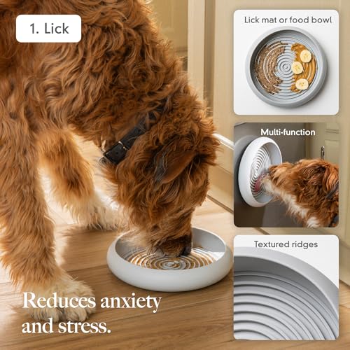 LAY LO Dog Enrichment Starter Pack: Treat Dispensing Toy, Slow Feeder Bowl & Lick Mat, and Snuffle Mat | Dishwasher Safe | Medical Grade Silicone | Non-Toxic | Includes Live Support from Dog Experts