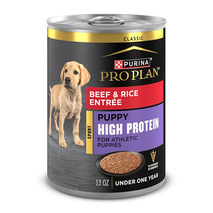 Purina Pro Plan Sport High Protein Puppy Food Beef & Rice Entree Wet Formula - (Pack of 12) 13 oz. Cans