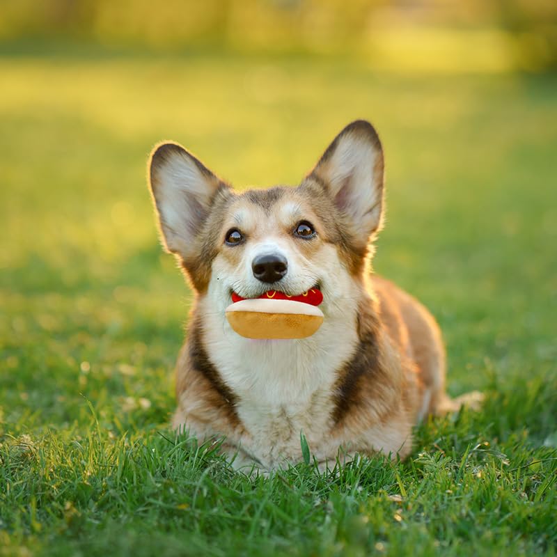okegztoa Dog Toy Squeaky Dog Toys,Interactive Dog Toys Dog Chew Toys Stuffed Dog Teething Toys for Large Medium Small Dog,Fast Food Dog Toys Squeaky Toys Dog Toys to Keep Them Busy (Hot Dog)