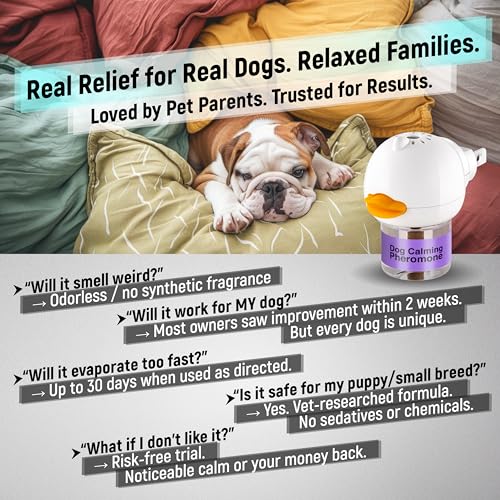 Dexypaws: Enrichment Snuffle Mat: Sky Blue Circle - Textured Dog Feeding Pad, Food Grade Silicone, Spread Food & Treats, Pet Soothing, Suction Back