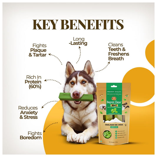 Dogsee Mint Flavor Himalayan Yak Cheese Dental Chews for Dogs 1lb (Medium - 6 Chews) | Aid Digestion | Made in Himalayan Regions | Odorless Dog Treats…