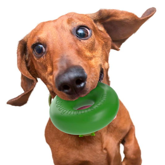 Goughnuts - Rubber Dog Chew Toy Med .75, Green, Ring