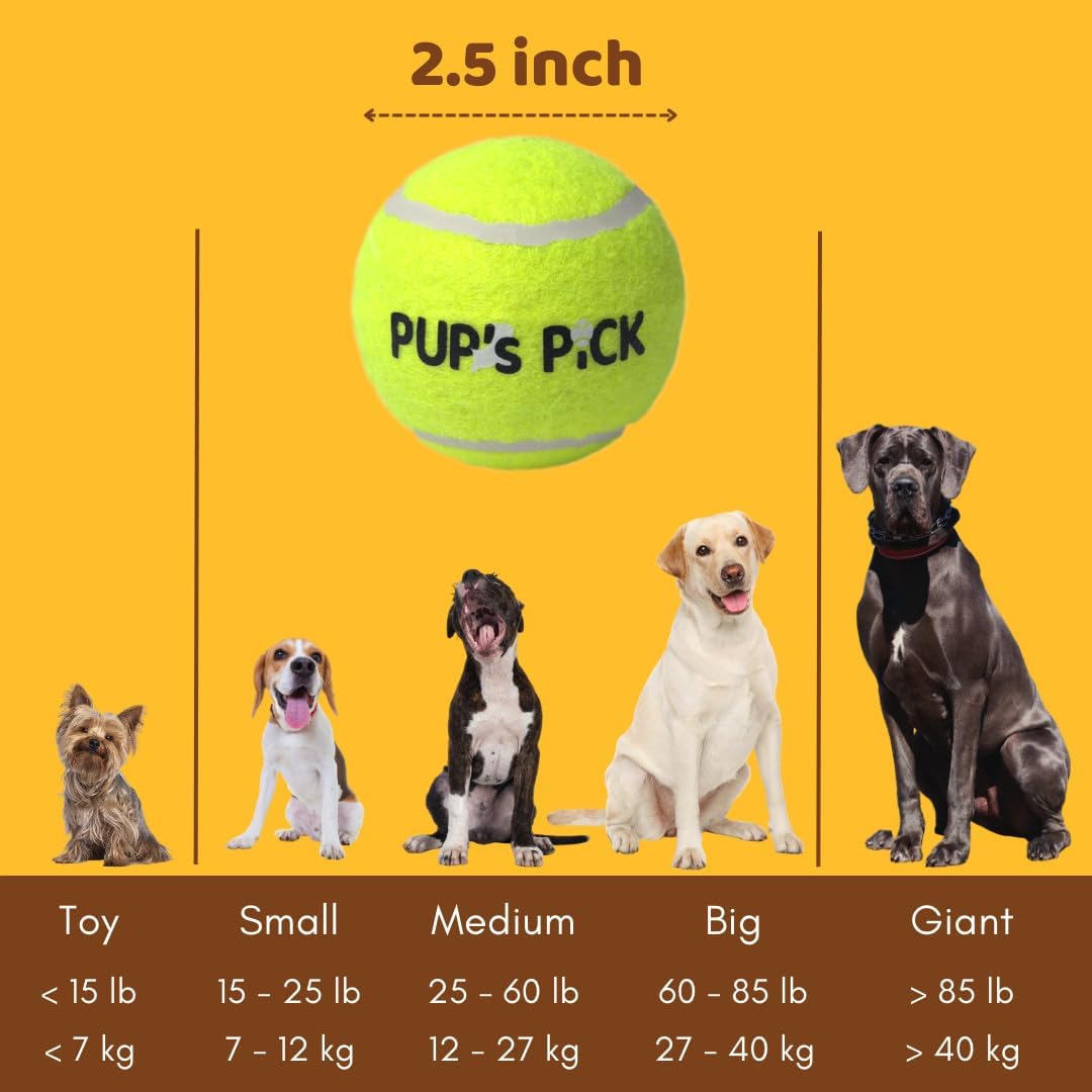 Pup's Pick Squeaky Tennis Balls - 2.5" Fun Dog Balls for Fetch, 12-Pack in Bright Colors (Yellow, Blue, Pink, Orange), Includes 1 Reusable Carry Bag