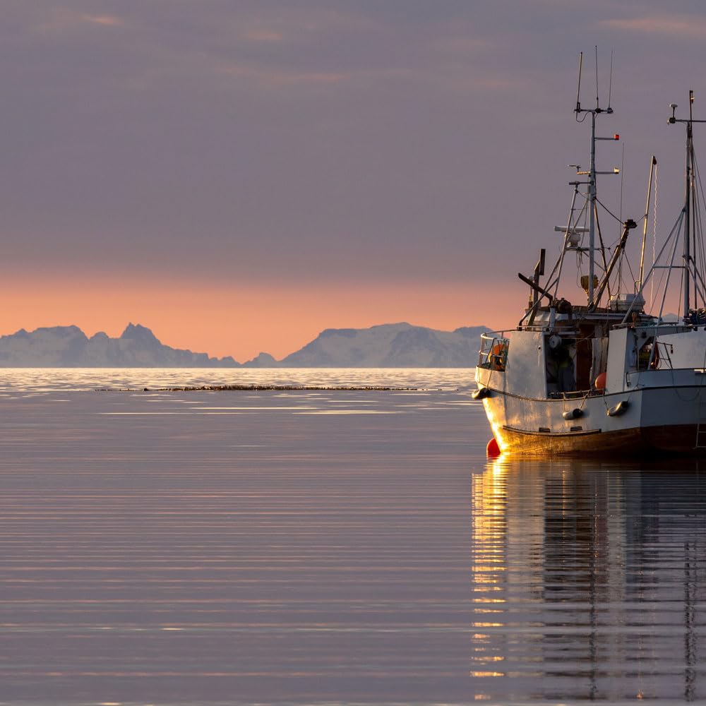 Simply Wild Cod Skins Alaskan Cod Fish Training Treats for Dogs-Dehydrated Fish, All Natural Human Grade Skins - Low Fat Treat Sustainably Sourced in USA (6.6 Oz)