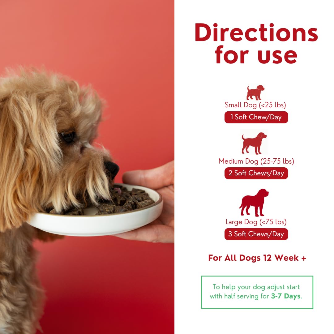 TPC Probiotics for Dogs, 90 Soft Chews – Dog Probiotics with Digestive Enzymes & Prebiotics – Supports Gut Health, Diarrhea & Bowel Support, Seasonal Allergies – Pet Supplement