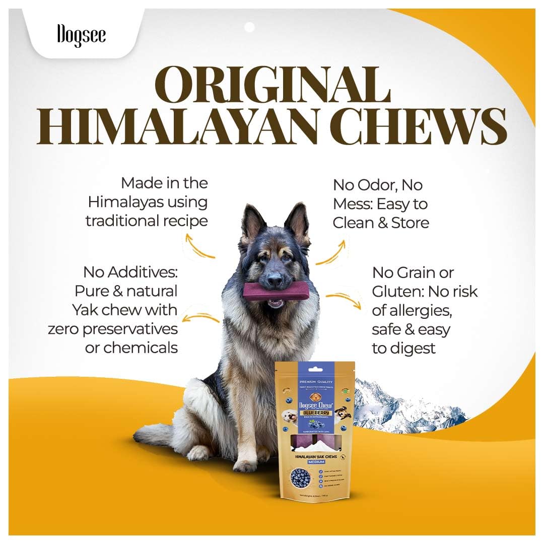 Dogsee Blueberry Flavor Himalayan Yak Cheese Dental Chews for Dogs - (Large 4)| Dog Treats Healthy | Cleans Teeth & Freshens Breath | No Grain, No Gluten | Dog Chews Rawhide Free