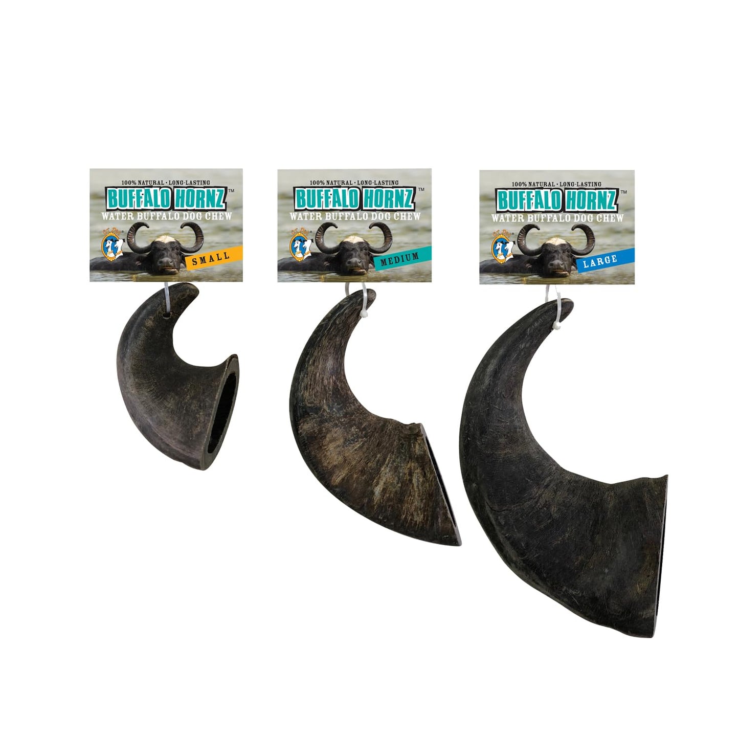QT Dog Large Water Buffalo Horn - Long-Lasting 100% All-Natural Dog Chew, Ethically Sourced Protein-Packed & Low Fat Dental Chews, Ideal for All Breeds & Aggressive Chewers