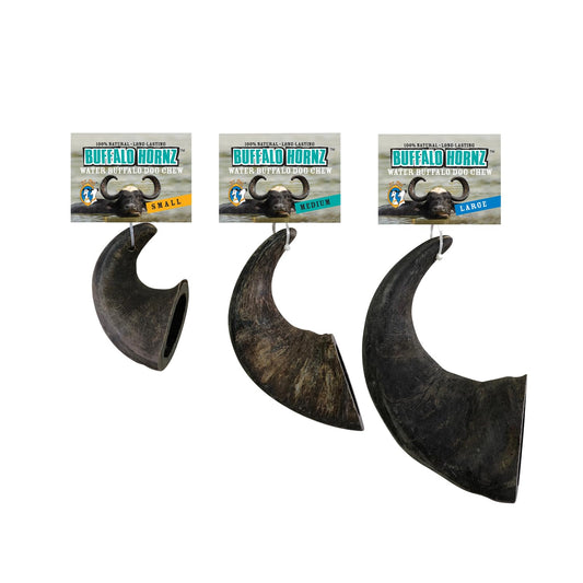 QT Dog Large Water Buffalo Horn - Long-Lasting 100% All-Natural Dog Chew, Ethically Sourced Protein-Packed & Low Fat Dental Chews, Ideal for All Breeds & Aggressive Chewers