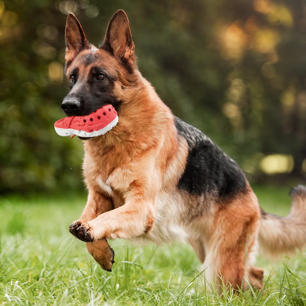 MONDOTOY Dog Chew Toys,Tough Dog Toys for Aggressive Chewers,Durable Rubber Puppy Toy, Interactive Puppy Toys Aggressive Chewers Medium Large Breed