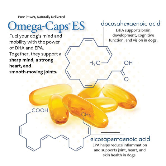 Omega Caps ES Extra Strength for Large and Giant Dogs Omega-3 and Omega-6 Fatty Acid Antioxidant Supplement Vet Formulated Made in USA Skin Coat Joint Heart and Immune Health 60 Softgel Capsules