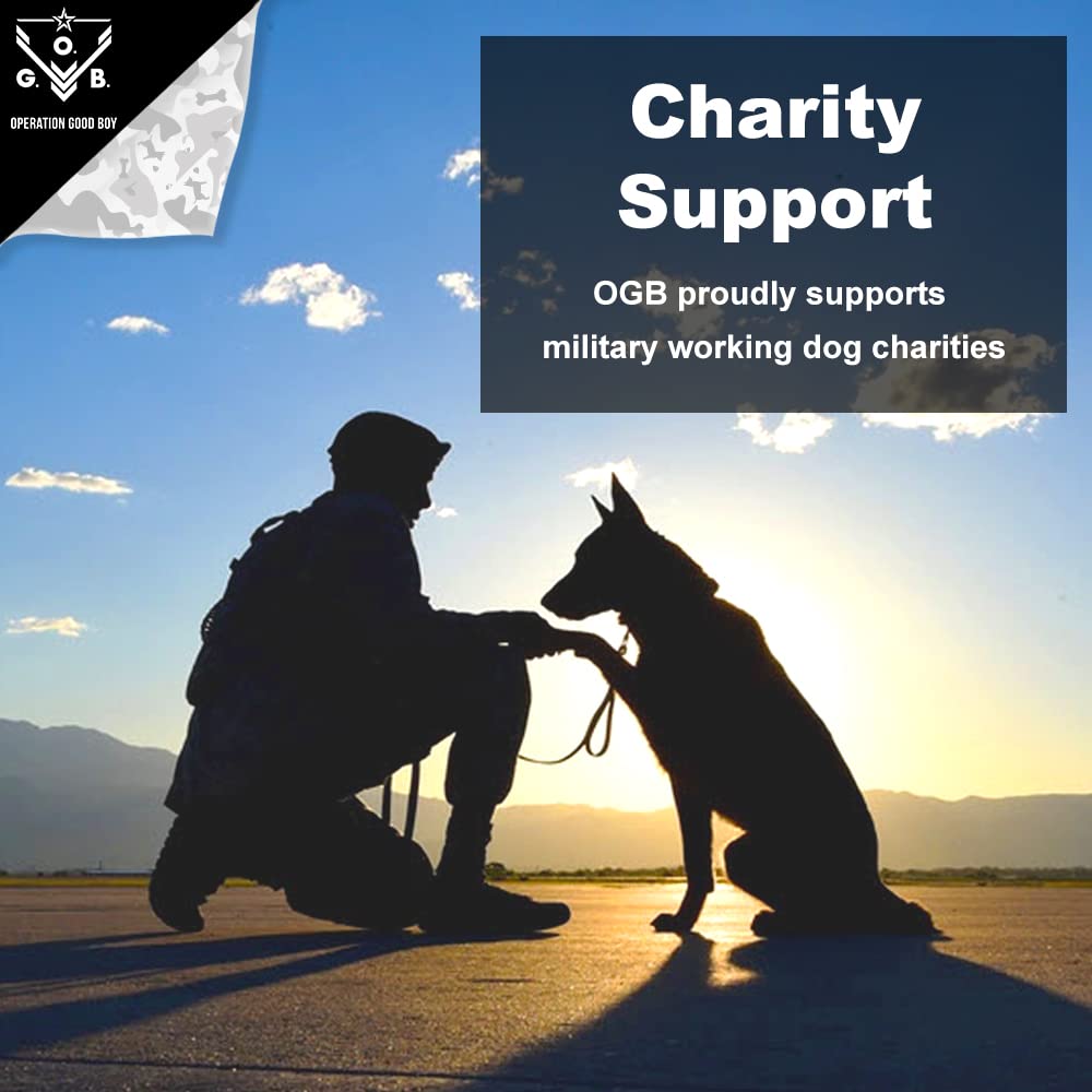 Stewart Single Ingredient Freeze Dried Raw Dog Treats, Chicken Liver, 11.5 Ounce, Approx. 215 Pieces per Resealable Tub, Training Treats or Meal Topper, High Protein, Grain Free, Gluten Free