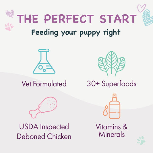 Health Extension Little Bites Chicken & Brown Rice Puppy Food – 3.5 lb Bag – Fresh Chicken First Ingredient with 30+ Superfoods – Natural, Complete & Balanced Nutrition for Small Breed Puppies