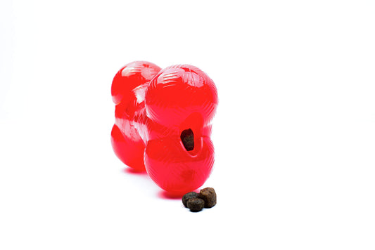 SPOT Play Strong Bone- Durable TPR Long Lasting Dog Chew for Aggressive Chewers, Hole for Treats, Virtually Indestructible Toy for Medium Dogs & Puppies - 5.5 inch