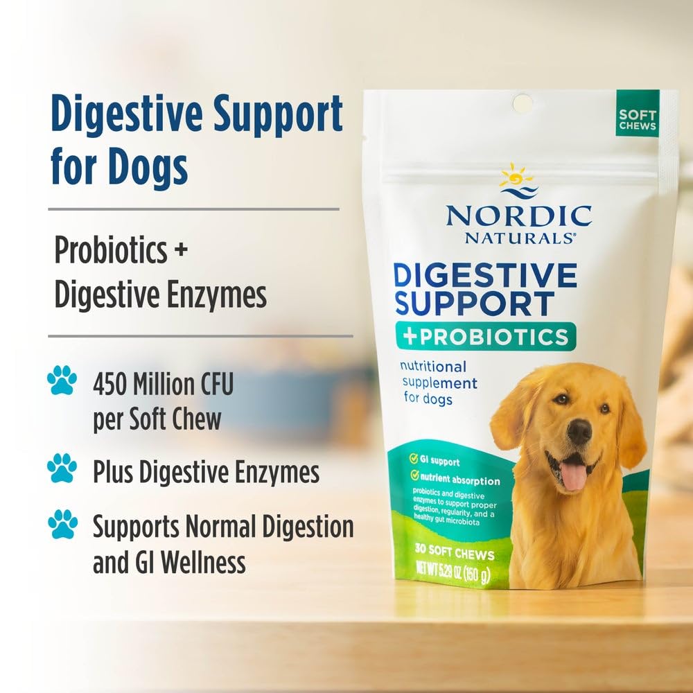 Nordic Naturals Pet Digestive Support with Probiotics, Pork Bone Broth Flavor - 30 Soft Chews - Nutritional Supplement for a Healthy Digestive System and GI Support - 30 Non-GMO Chews