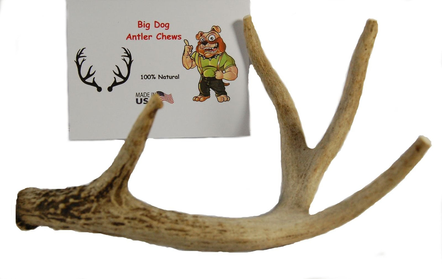 Big Dog Antler Chews - Whitetail Deer Antler Dog Chew, Medium, 8 Inches to 13 Inches Long, Natural, Healthy Long-Lasting Treat. for Medium to Large Size Dogs and Puppies.