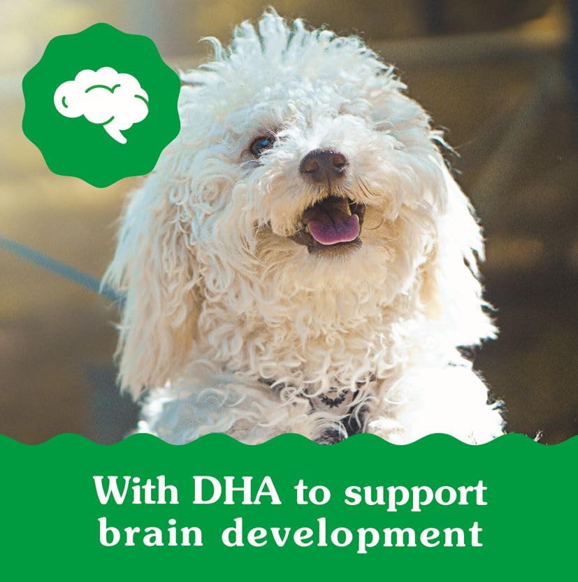 Greenies Puppy Petite Size Dental Dog Treats, 6 oz. Pack (10 Treats)