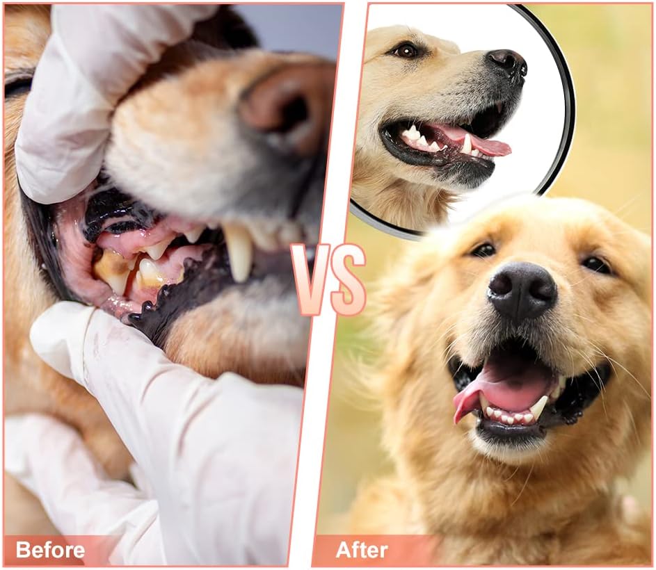 MONDOTOY Dog Chew Toys,Tough Dog Toys for Aggressive Chewers,Durable Rubber Puppy Toy, Interactive Puppy Toys Aggressive Chewers Medium Large Breed