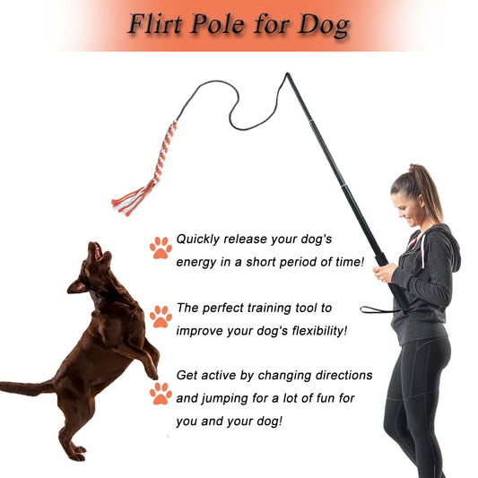 SYOOY Flirt Pole for Dogs, Interactive Dog Toys for Dog Chase and Tug of War, Dog Teaser Wand with 3 Fleece Rope Chew Toy, Pet Flirt Stick Pole for Small Medium Large Dogs Training Exercise