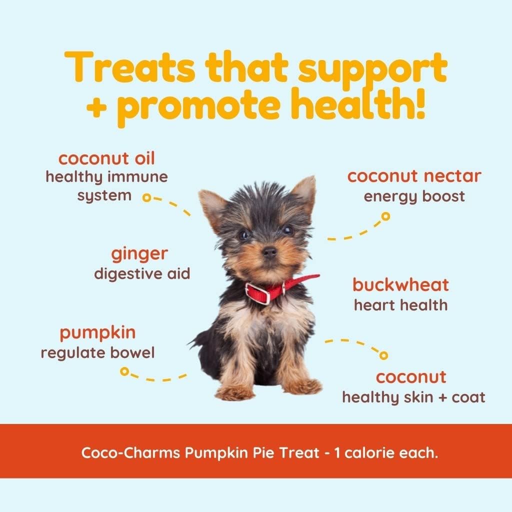 BARK&SPARK Pumpkin for Dogs - Powdered Fiber Supplement and Stool Softener - Treat Diarrhea, Constipation, Upset Stomach, Food Sensitivity - Made in USA