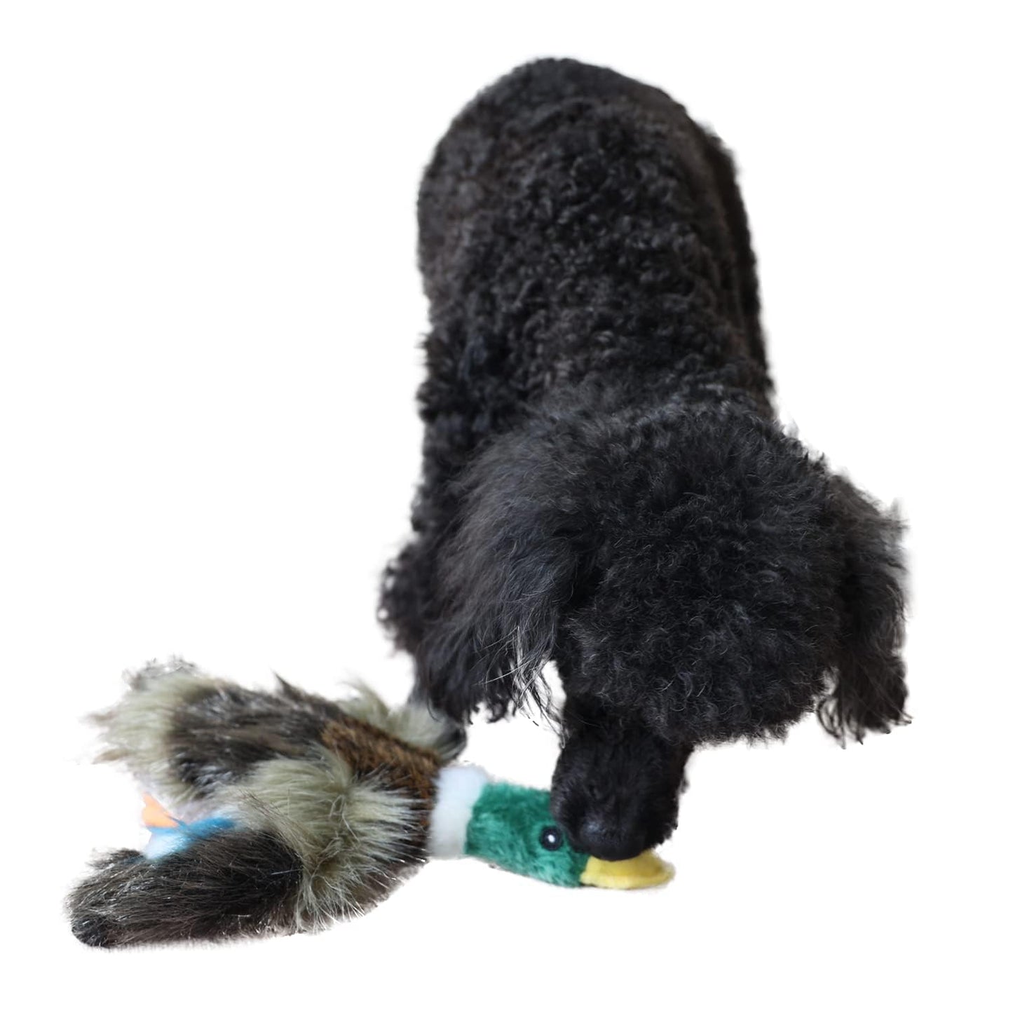 ALL FOR PAWS Duck Squeaky Doy Toy, Duck Dog Toy for Medium Large Breed, Puppy Fetch Toy with Squeaker, Plush Chew Dog Toy, 18 x 9.1 x 3.9 inches, Classic - Mallard L