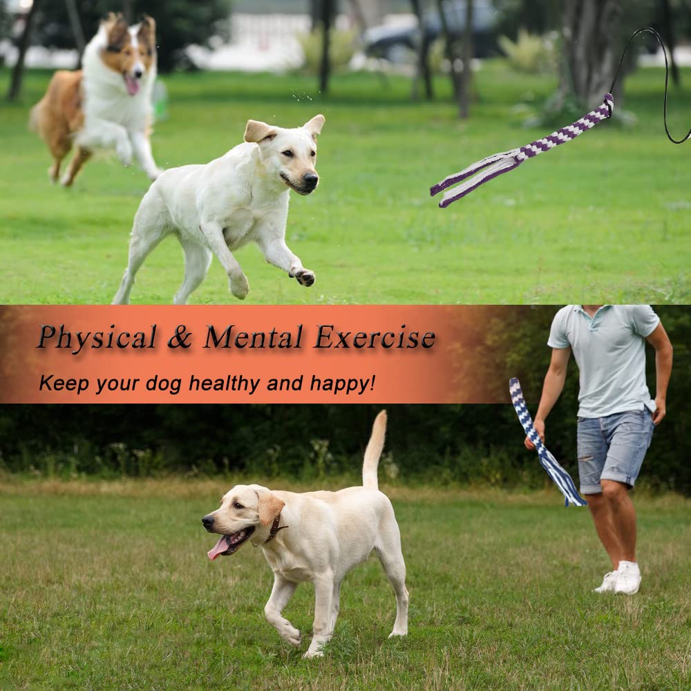 SYOOY Flirt Pole for Dogs, Interactive Dog Toys for Dog Chase and Tug of War, Dog Teaser Wand with 3 Fleece Rope Chew Toy, Pet Flirt Stick Pole for Small Medium Large Dogs Training Exercise