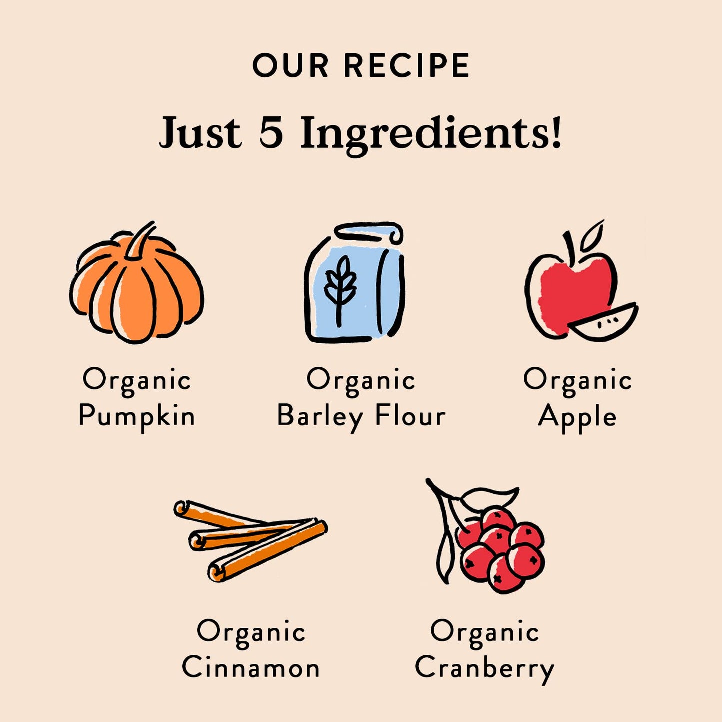 Bocce's Bakery All-Natural, Small Batch, Organic Dog Treats, Pumpk'n Harvest Biscuits, Wheat-Free, Limited-Ingredient, Made in The USA with 100% Recyclable Packaging, 12 oz Bag