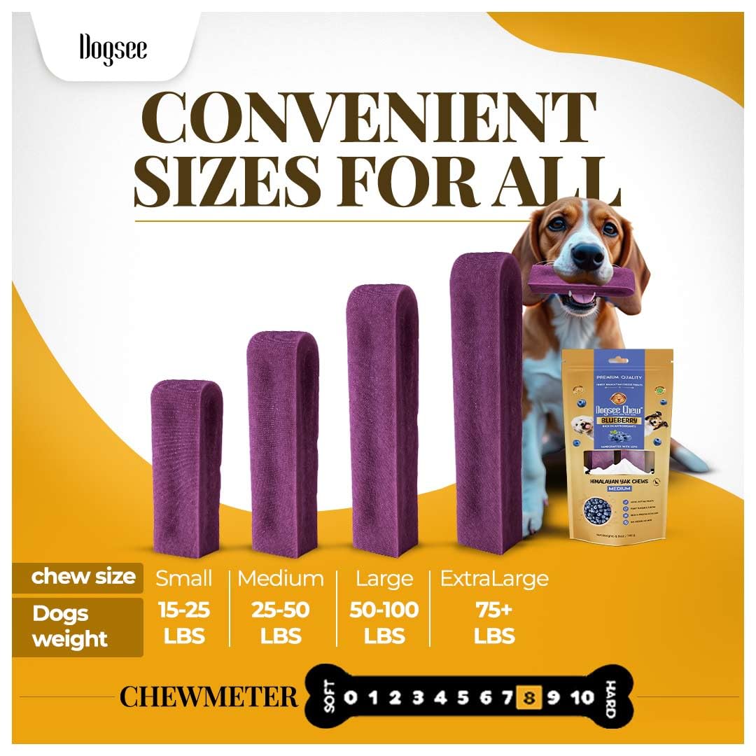 Dogsee Blueberry Flavor Himalayan Yak Cheese Dental Chews for Dogs - (Large 4)| Dog Treats Healthy | Cleans Teeth & Freshens Breath | No Grain, No Gluten | Dog Chews Rawhide Free