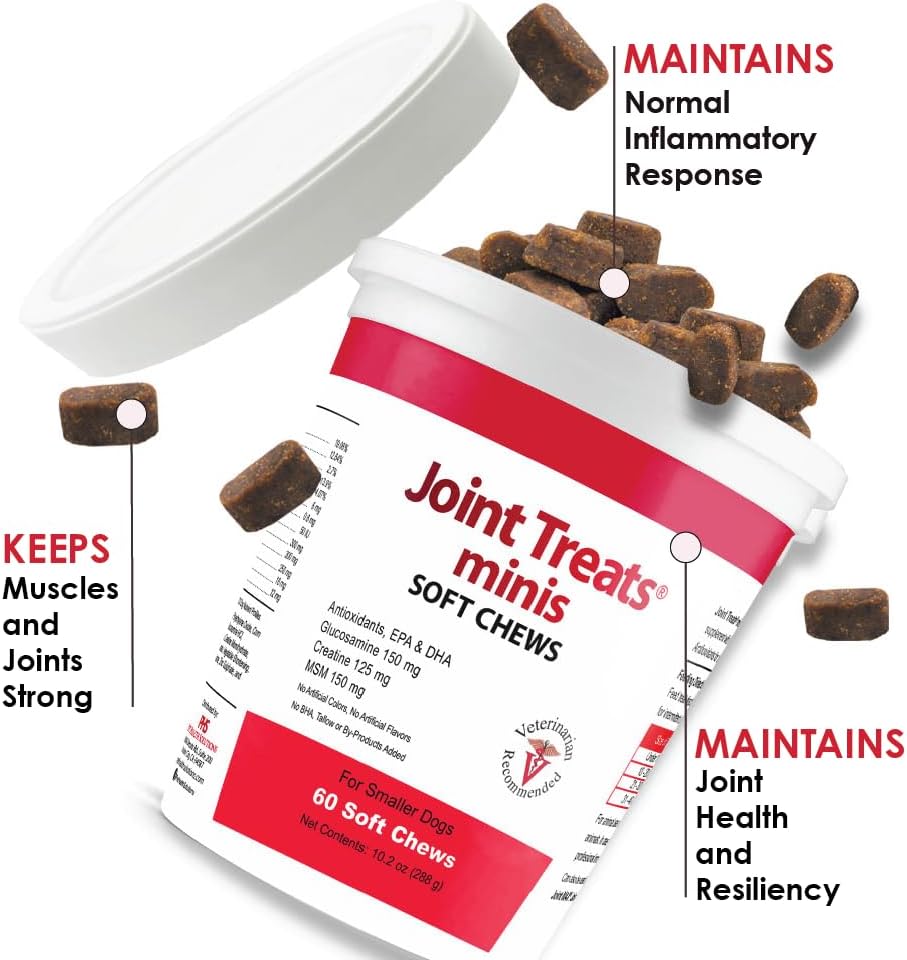Joint Treats MINIS for Smaller Dogs - Vitamins, Minerals, Antioxidants, Omega-3 Fatty Acids EPA, DHA - Maximum Joint Health Supplement for Dogs - 120 Soft Chews