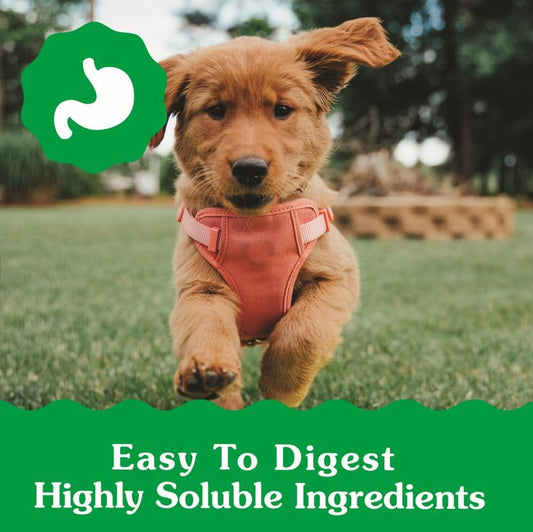 Greenies Puppy Petite Size Dental Dog Treats, 6 oz. Pack (10 Treats)