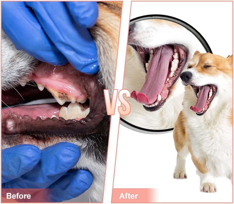 MONDOTOY Dog Chew Toy,Durable Rubber Slipper Toy for Puppy,Dog Tough Toys for Pet Training and Cleaning Teeth,Interactive Puppy Toys Aggressive Chewers Small Meduium Breed (Color)