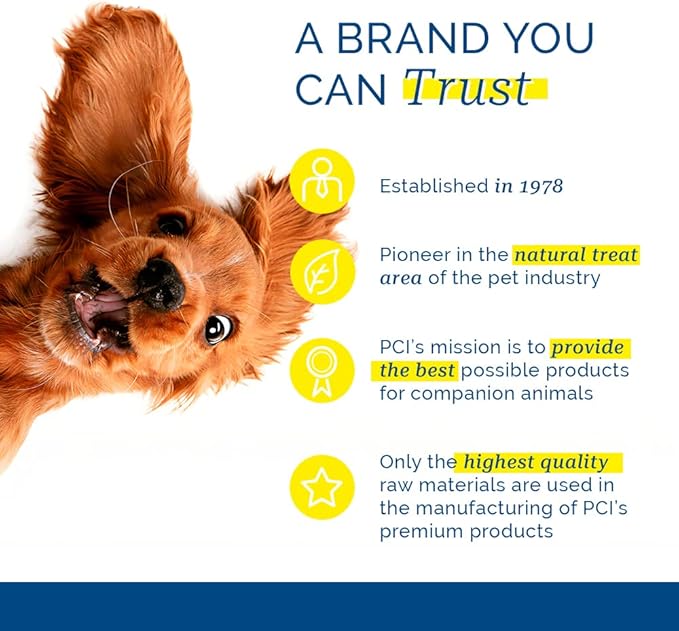 Pet Center, Inc. PCI Chicken Nibbles Raw Dehydrated Chicken Breast Dog Treats, 1 Pound Container,16 oz,CHK-101