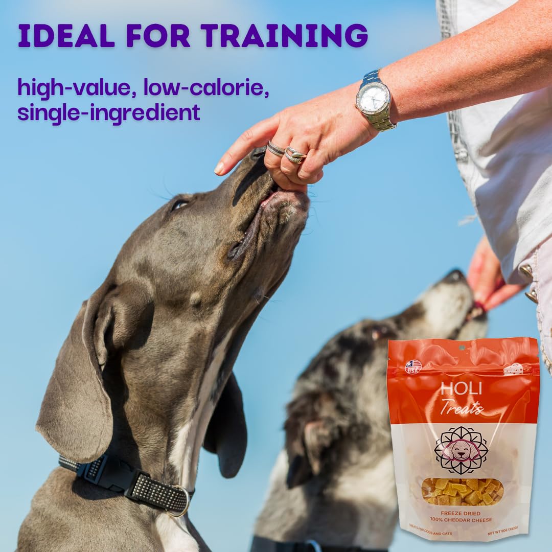 HOLI Freeze Dried Cheddar Cheese Dog Treats - 100% All Natural - Human Grade, Single Ingredient, Lactose Free - Grain Free, Gluten Free, Soy Free – (10 Ounce)