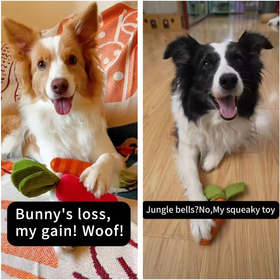 MewaJump Dog Squeaky Chew Toys for Aggressive Chewers, Rubber Carrot Dog Toys for Training and Cleaning, Durable Interactive Tough Dog Toy for Puppy Medium Dogs