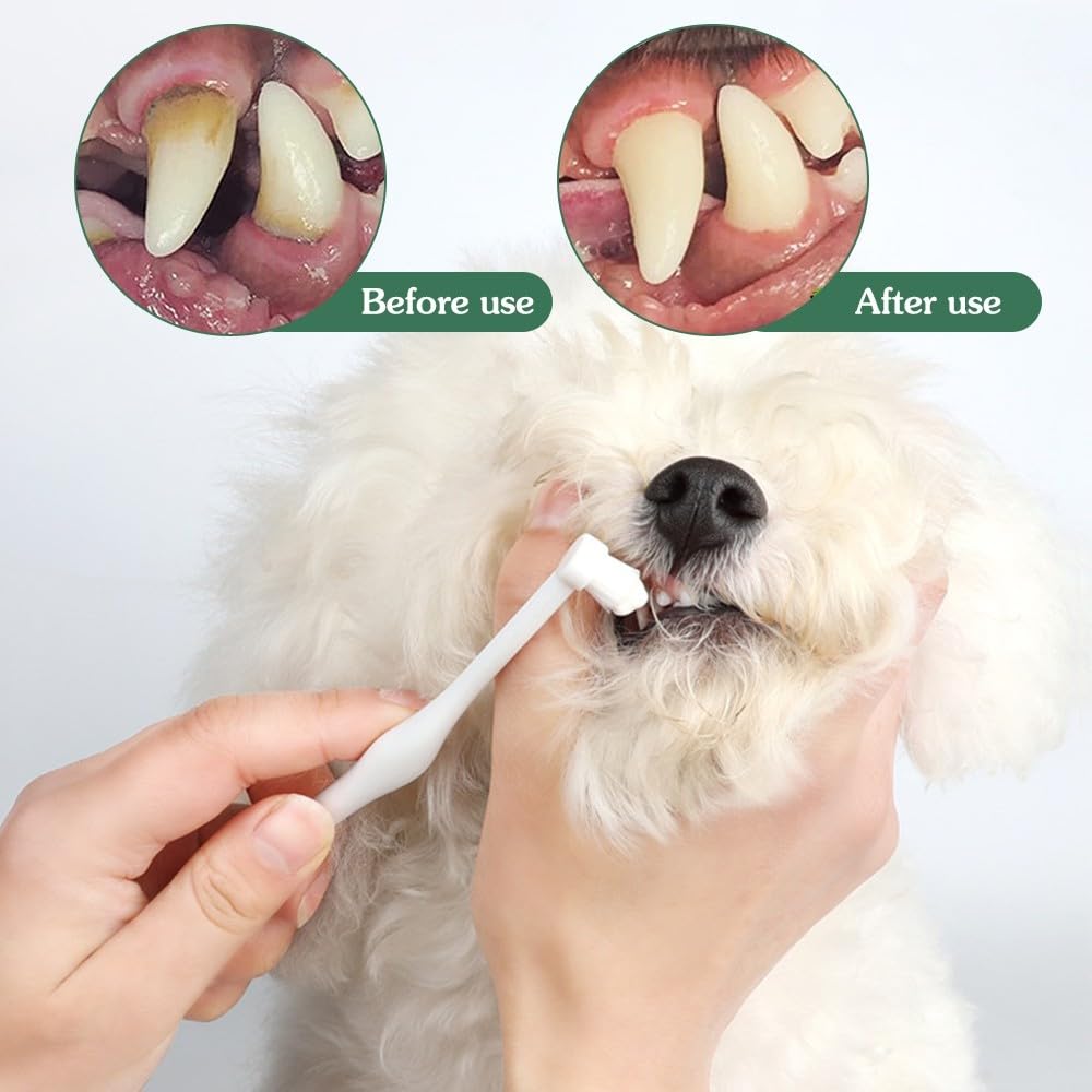 MiOYOOW Small Dog Toothbrush, 2/3PCS Pet Toothbrush with Ultra Soft Bristles for Sensitive Pet Teeth & Gums Puppy Kitten Cats Small Breed Dogs