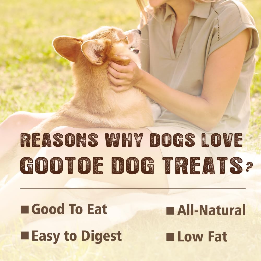 Gootoe Soft Turkey Tendon Stirip 1 lb, Natural Chewy Snack, USA-Sourced Turkey Tendon, Premium Training Chew, Hypoallergenic, Reseal Value Bag, Ideal for Small& Senior Dog, Jumbo Pack