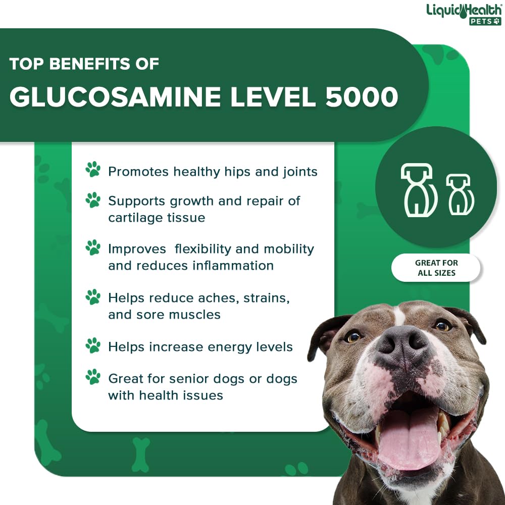 LIQUIDHEALTH Pets K9 Level 5000 Glucosamine Chondroitin Hip & Joint Formula & K9 Complete 8-in-1 Multivitamin - Dogs & Puppies Supplement Bundle for Joint Health, Mobility, Immune Support - USA Made