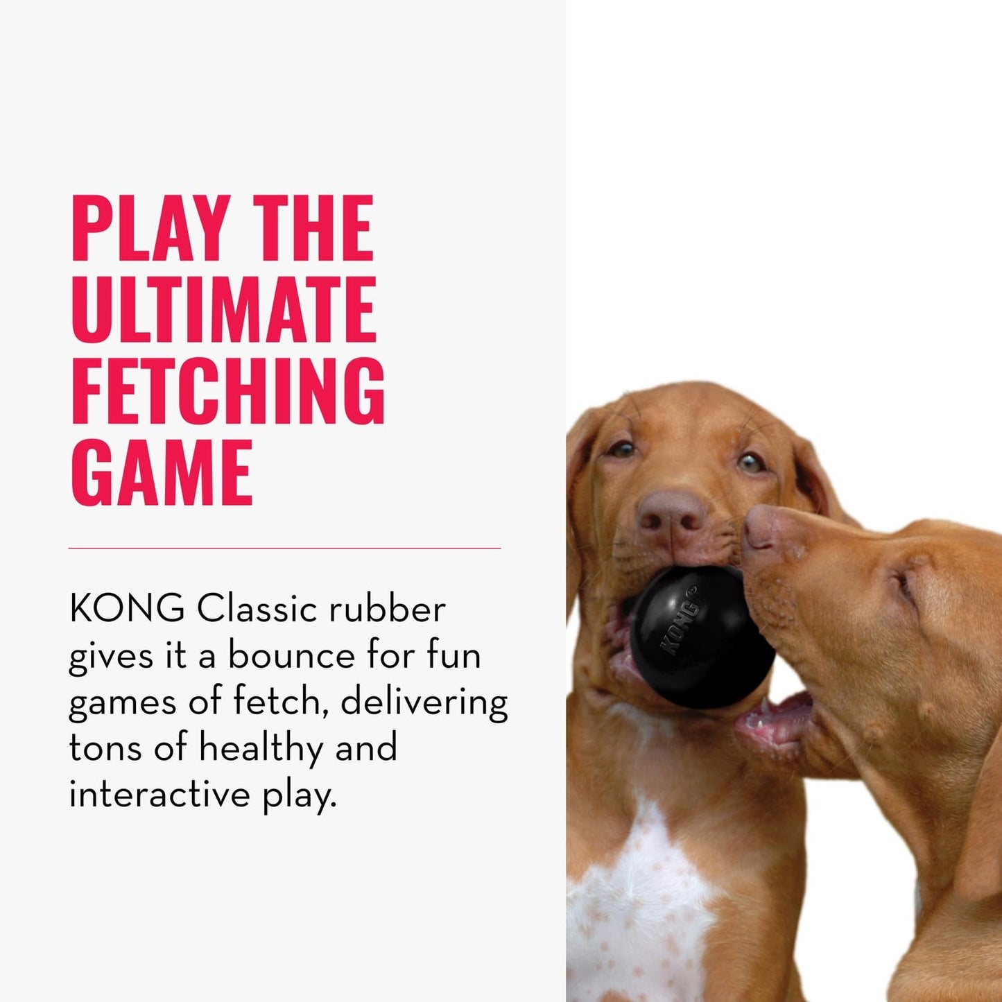KONG Extreme Ball with Hole - Fetch Toy - Durable Dog Toy for Training, Interactive Playtime & More - Natural Extreme Rubber Ball - Black - for Large/Medium Dogs