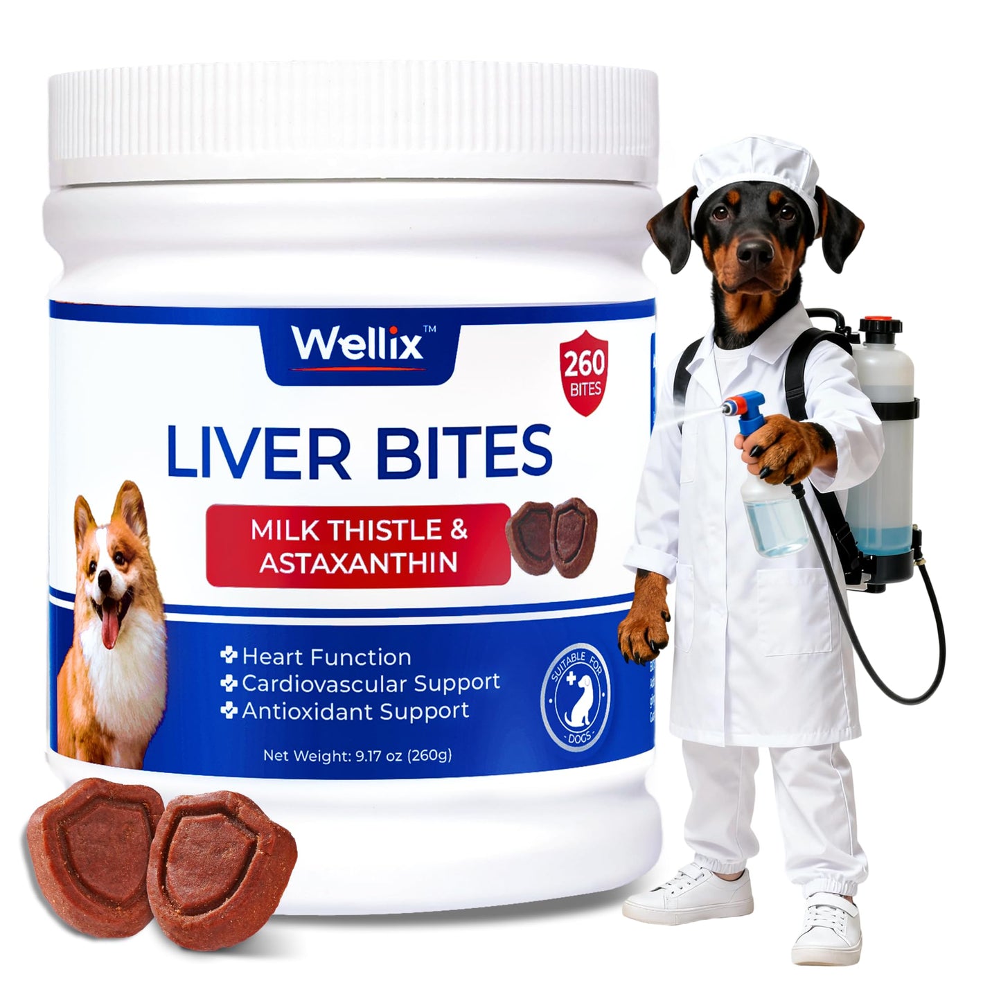 260 Bites Wellix Liver Support for Dogs - Milk Thistle for Dog Liver Supplements with Omega-3 - Supports Heart & Antioxidant for Large,Small Breed Fogs -Chicken Flavor