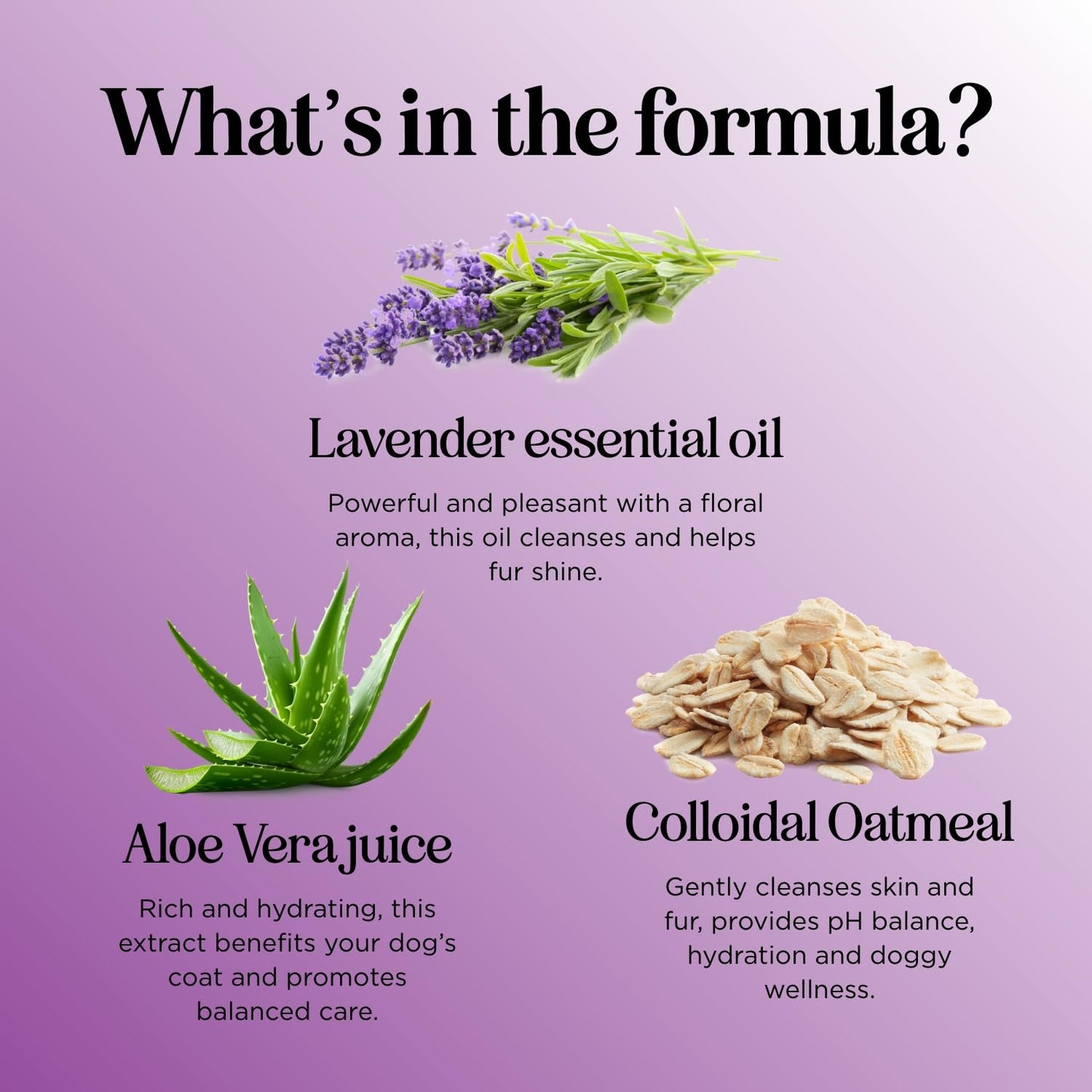 Soothing Oatmeal Shampoo for Dogs - Cleansing and Moisturizing Aloe & Oatmeal Dog Shampoo for Smelly Dogs of all Ages & Breeds - Gentle Sulfate and Paraben Free Dog Wash Made in USA (Lavender Vanilla)