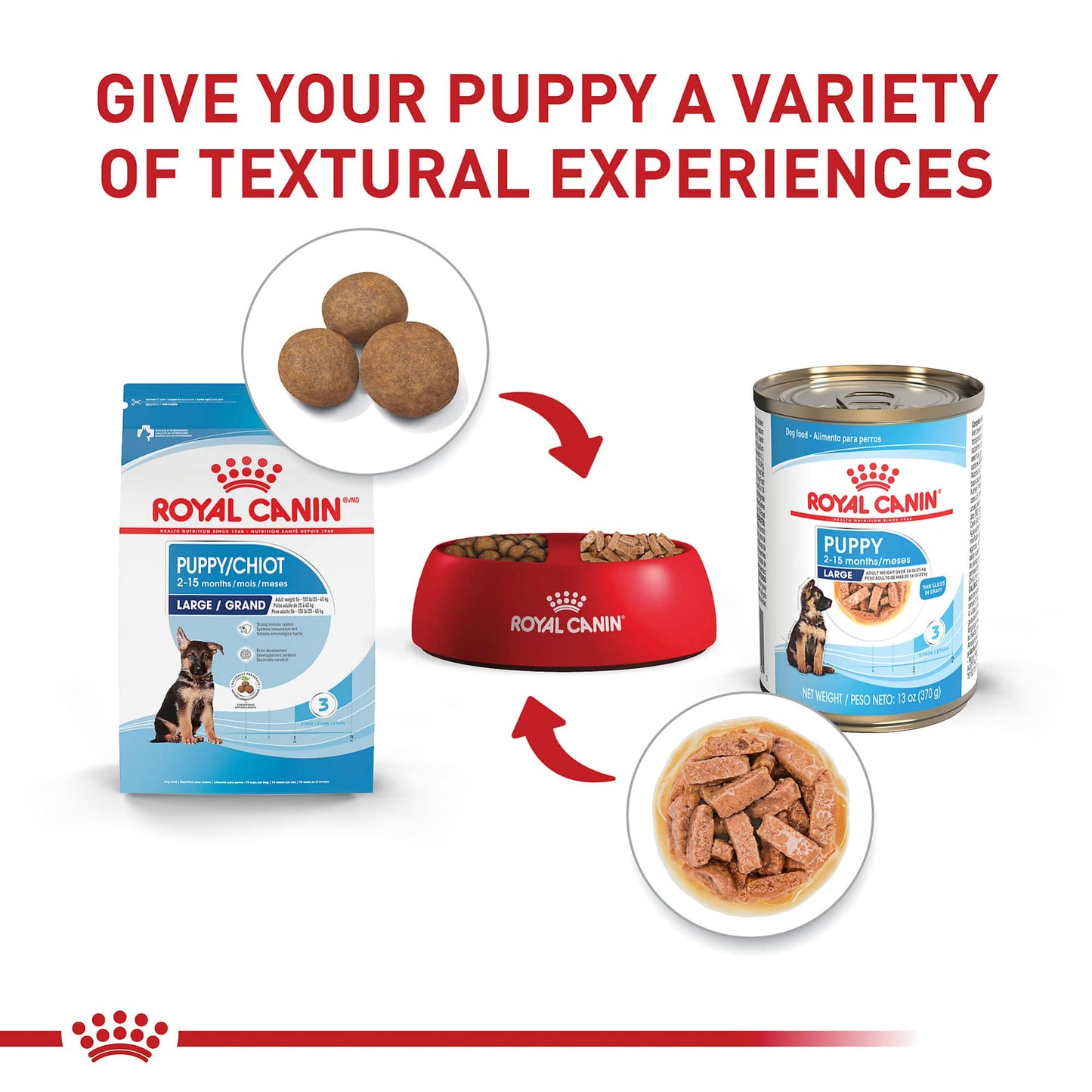 Royal Canin Size Health Nutrition Large Puppy Thin Slices in Gravy Wet Dog Food, 13 oz can (12-count)