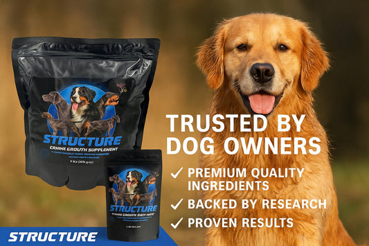 Structure by CPN – Puppy Growth Supplement – Supports Muscle, Bone & Immune Health – Human Grade Protein from Egg & Milk – with Probiotics, Enzymes & Omegas – for Puppies, Pregnant & Nursing Dogs