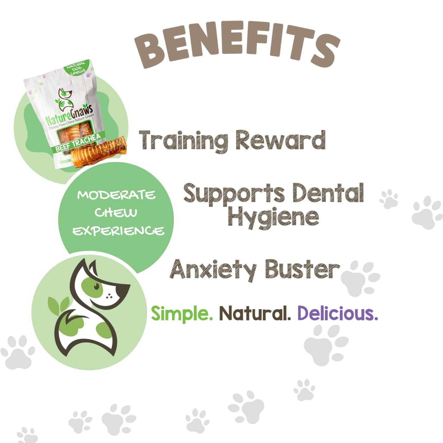 Nature Gnaws Beef Trachea Chews for Dogs 6" (6 Count) - Long Lasting Natural Crunchy Dog Chew Bones - Rawhide Free