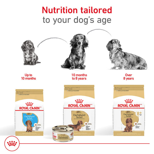 Royal Canin Breed Health Nutrition Dachshund Puppy Dry Dog Food, 2.5 lb Bag